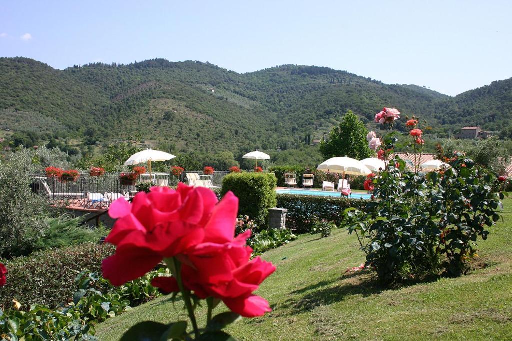 Cortoreggio Casa de Campo *