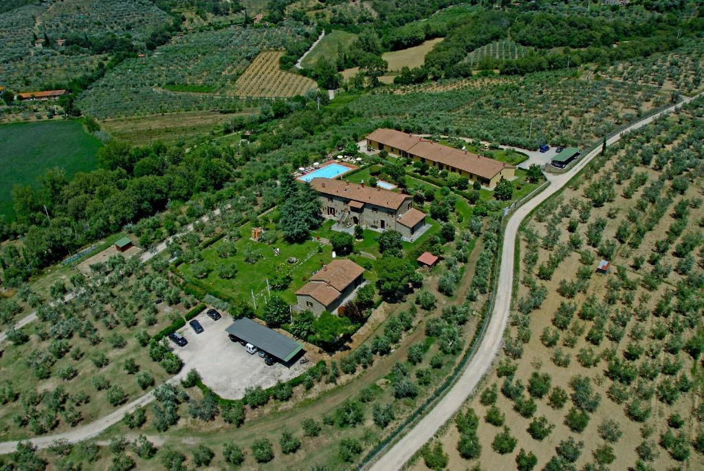 Cortoreggio