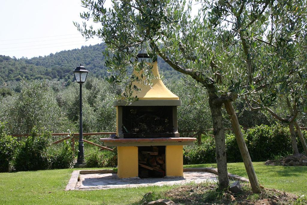 Cortoreggio *